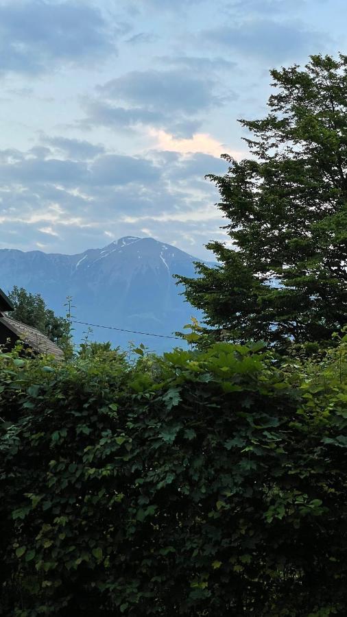 Mika'S Garden Villa Bled Exterior photo